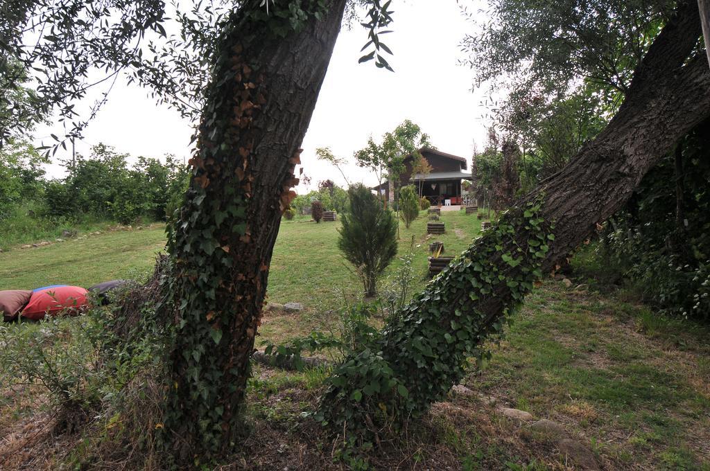 Agva Nehir Perisi Hotel Goce Ruang foto