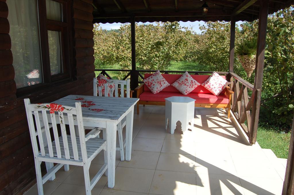 Agva Nehir Perisi Hotel Goce Ruang foto